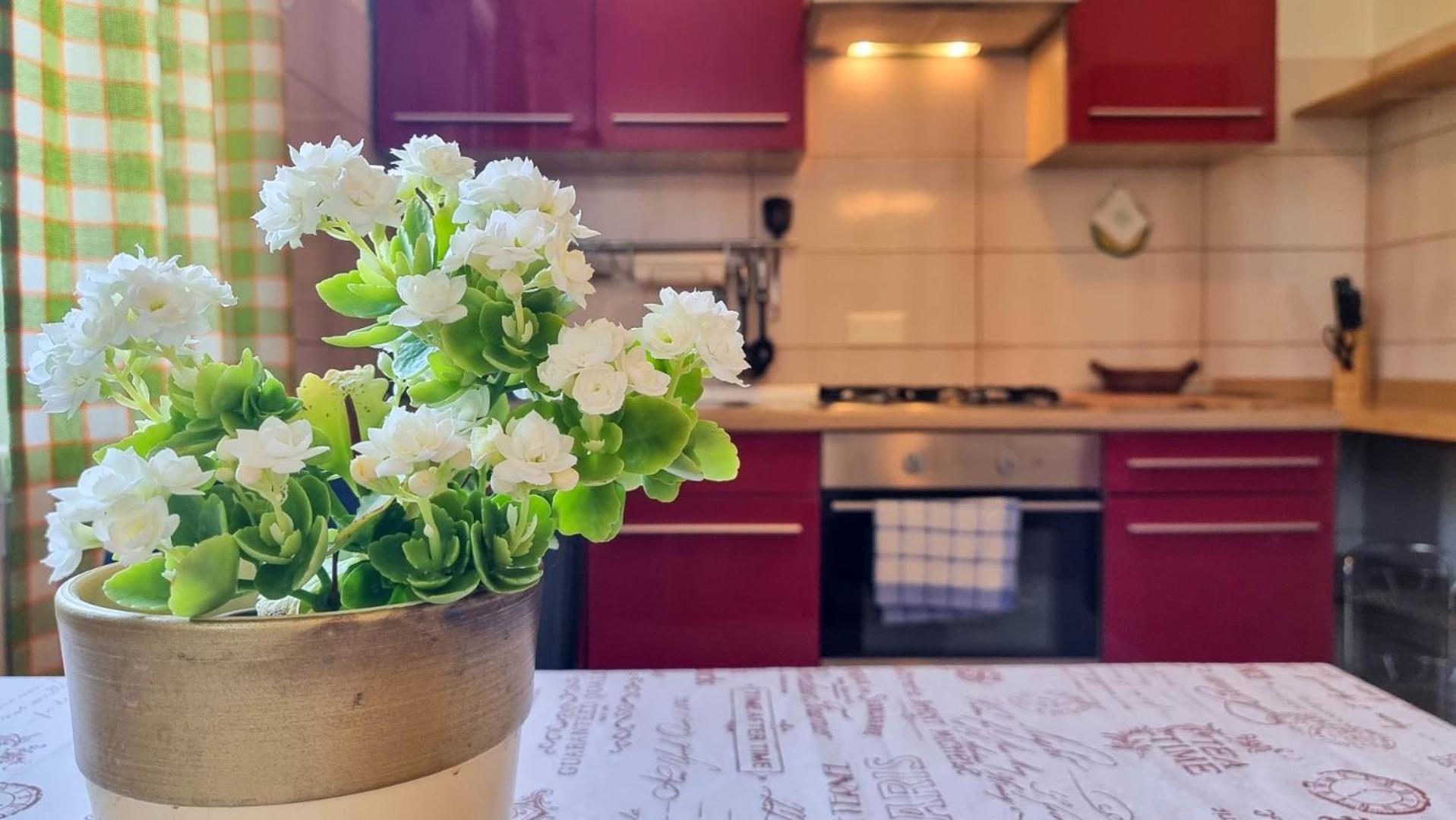 Mirjana Four Apartman Novigrad Istria Kültér fotó